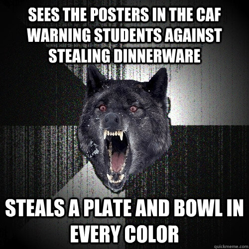 sees the posters in the caf warning students against stealing dinnerware steals a plate and bowl in every color  Insanity Wolf