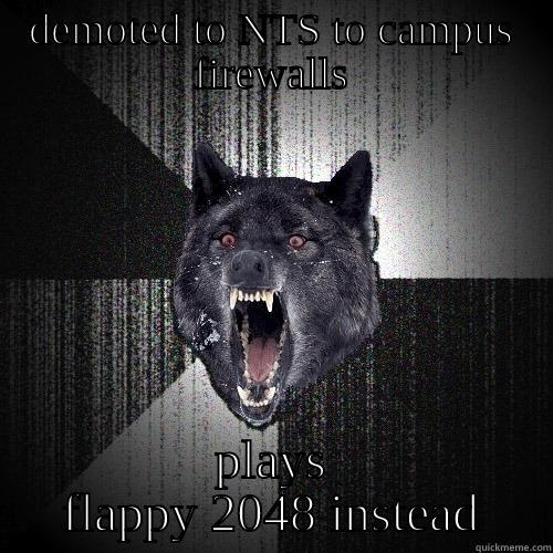 DEMOTED TO NTS TO CAMPUS FIREWALLS PLAYS FLAPPY 2048 INSTEAD Insanity Wolf