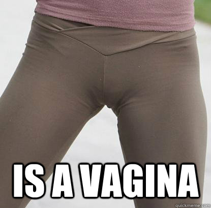  Is a vagina  -  Is a vagina   Misc