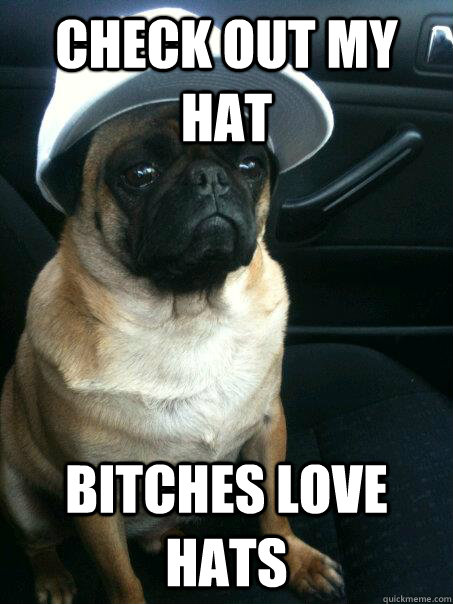 CHECK OUT MY HAT BITCHES LOVE HATS - CHECK OUT MY HAT BITCHES LOVE HATS  Pug Life