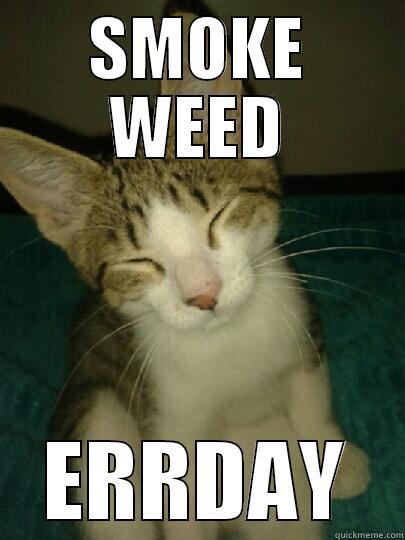 SMOKE WEED ERRDAY Misc