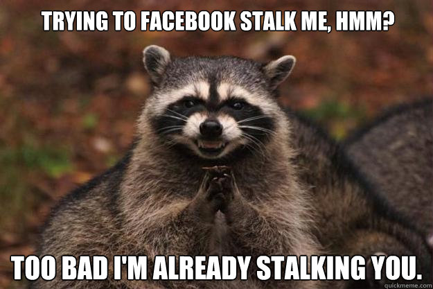 trying to Facebook stalk me, hmm? Too bad I'm already stalking you.  Evil Plotting Raccoon