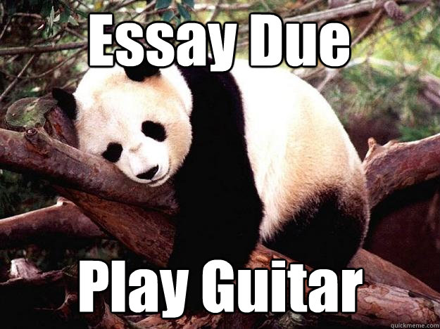 Essay Due Play Guitar  Procrastination Panda