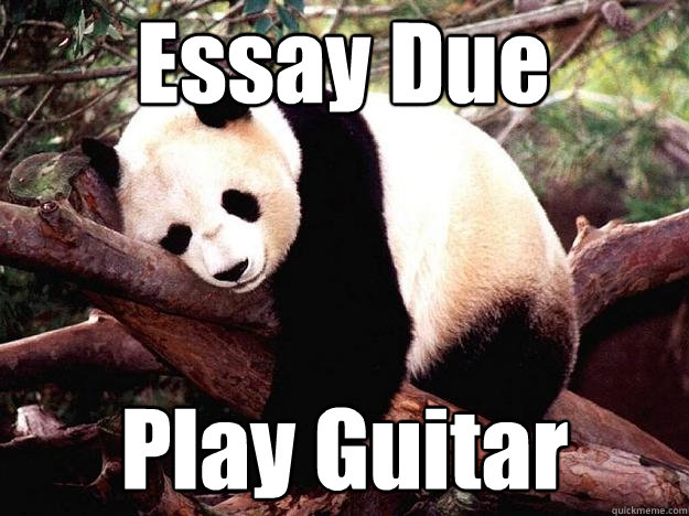 Essay Due Play Guitar - Essay Due Play Guitar  Procrastination Panda