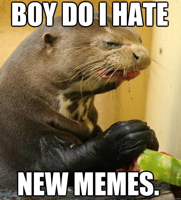 boy do i hate  new memes. - boy do i hate  new memes.  ornery otter