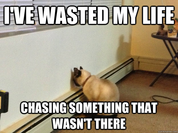 I've wasted my life chasing something that wasn't there - I've wasted my life chasing something that wasn't there  Regretful Cat