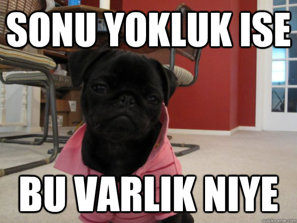 SONU YOKLUK ise BU VARLIK NiYE - SONU YOKLUK ise BU VARLIK NiYE  sonu yokluk ise bu varlik niye