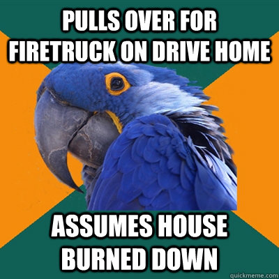 PULLS OVER FOR FIRETRUCK ON DRIVE HOME ASSUMES HOUSE BURNED DOWN  Paranoid Parrot