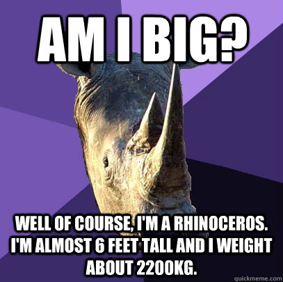 Am I big? Well of course, I'm a rhinoceros. I'm almost 6 feet tall and I weight about 2200kg.  Sexually Oblivious Rhino