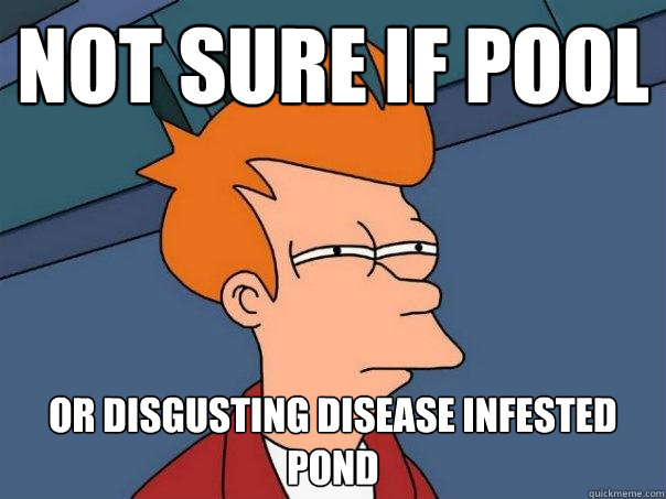 not sure if pool or disgusting disease infested pond - not sure if pool or disgusting disease infested pond  Futurama Fry