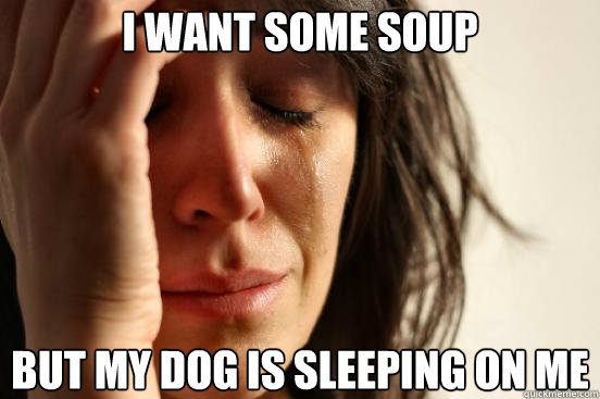 I want some soup but my dog is sleeping on me  First World Problems