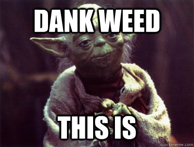 dank weed  this is  Yoda