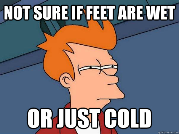 Not sure if feet are wet Or just cold - Not sure if feet are wet Or just cold  Futurama Fry