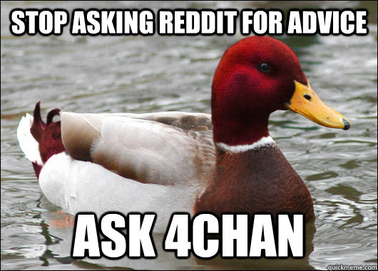 Stop asking reddit for advice ask 4chan  Malicious Advice Mallard