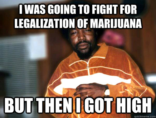 I was going to fight for legalization of marijuana but then i got high  Afroman Got High