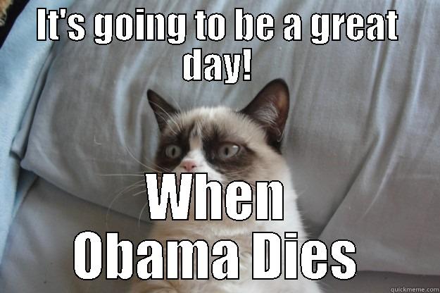 IT'S GOING TO BE A GREAT DAY! WHEN OBAMA DIES Grumpy Cat