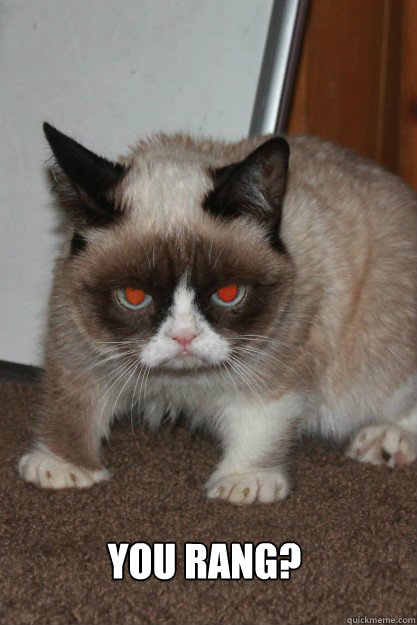  You rang? -  You rang?  Grumpy Cat Devil Eyes