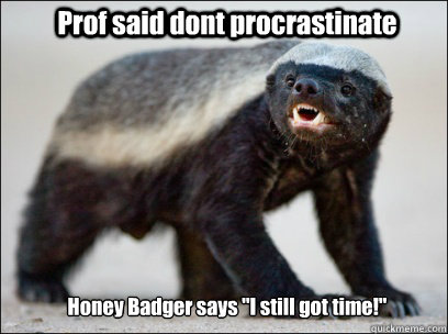 Prof said dont procrastinate Honey Badger says 