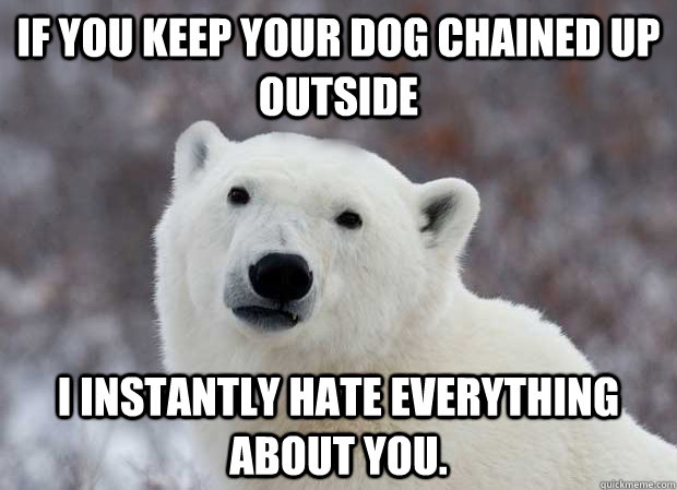 If you keep your dog chained up outside I instantly hate everything about you.  Popular Opinion Polar Bear