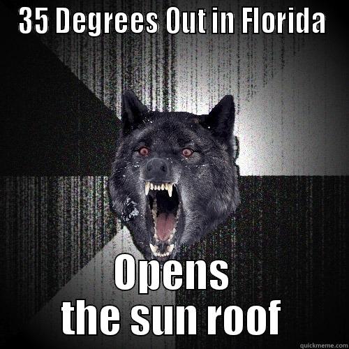 35 DEGREES OUT IN FLORIDA OPENS THE SUN ROOF Insanity Wolf