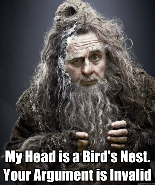  My Head is a Bird's Nest. Your Argument is Invalid -  My Head is a Bird's Nest. Your Argument is Invalid  RadagastRebuttal