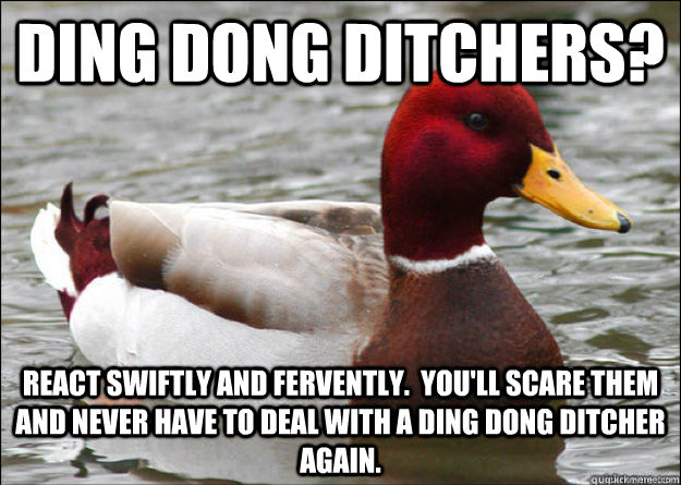 Ding Dong Ditchers? React swiftly and fervently.  You'll scare them and never have to deal with a ding dong ditcher again.  Malicious Advice Mallard