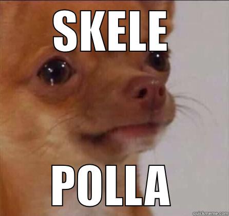 SKELE POLLA Misc