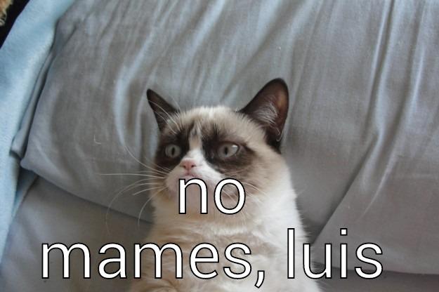  NO MAMES, LUIS Grumpy Cat