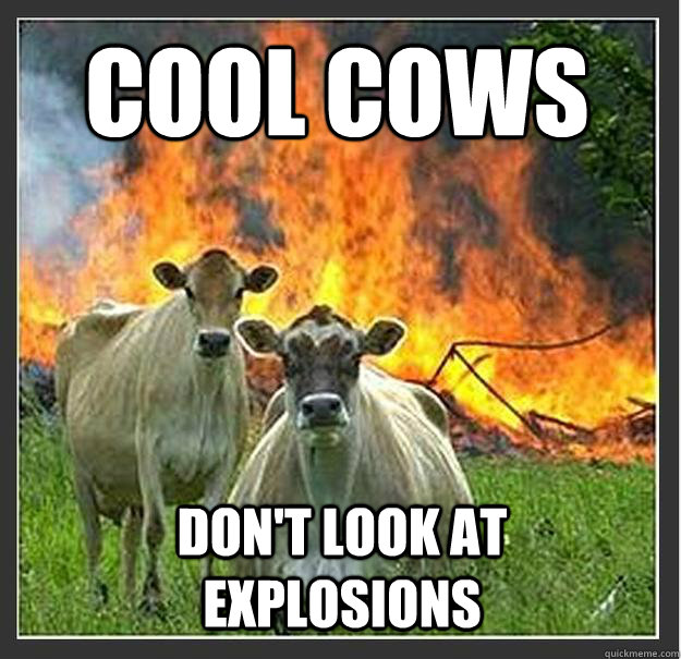 Cool Cows Don't look at explosions   Evil cows