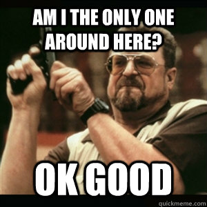 AM I THE ONLY ONE AROUND HERE? Ok good  