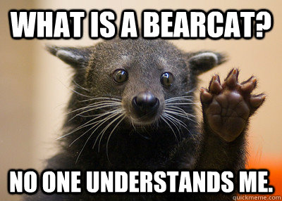 What is a Bearcat? No one understands me. - What is a Bearcat? No one understands me.  Bearcat