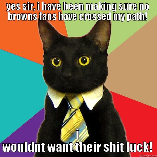YES SIR, I HAVE BEEN MAKING SURE NO BROWNS FANS HAVE CROSSED MY PATH! I WOULDNT WANT THEIR SHIT LUCK! Business Cat