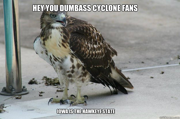 hey you dumbass cyclone fans iowa is the hawkeye state - hey you dumbass cyclone fans iowa is the hawkeye state  Awkward Hawk