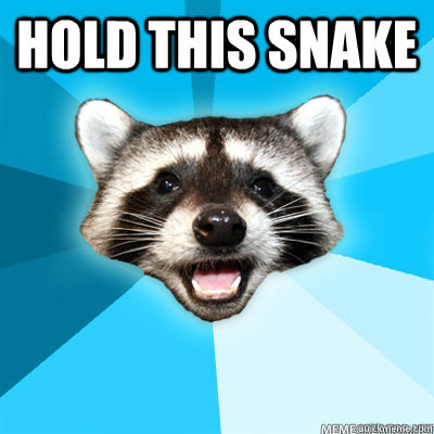 Hold this snake    Lame Pun Raccoon