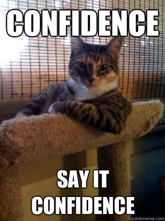 Confidence Say IT Confidence  The Most Interesting Cat in the World