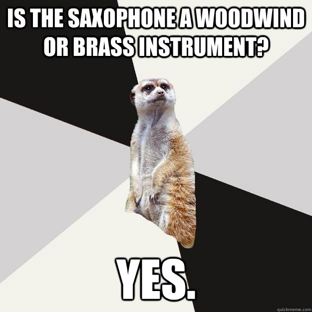 Is the saxophone a woodwind or brass instrument? yes.  