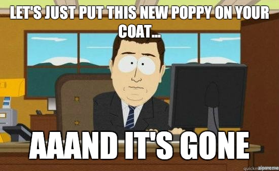 Let's just put this new poppy on your coat... AAAND IT'S GONE  aaaand its gone