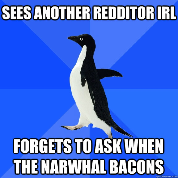 Sees another redditor IRL Forgets to ask when the narwhal bacons  Socially Awkward Penguin