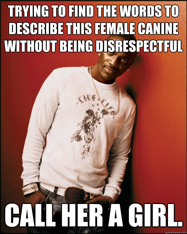 Trying to find the words to describe this female canine without being disrespectful call her a girl.  Advice Akon