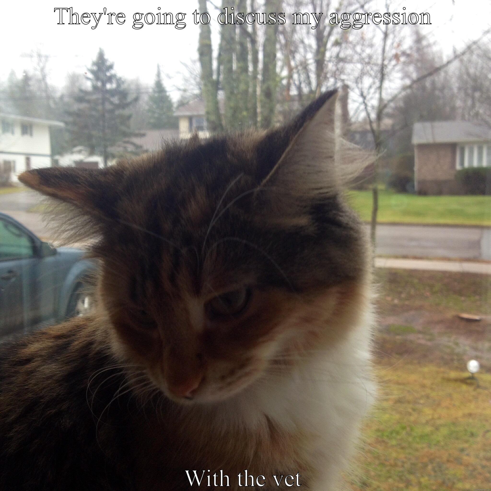 THEY'RE GOING TO DISCUSS MY AGGRESSION WITH THE VET Misc