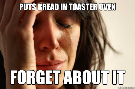 Puts bread in toaster oven forget about it  First World Problems