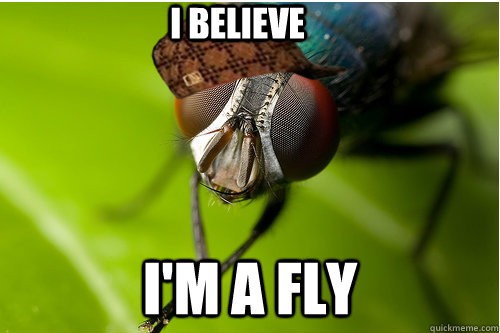 I BELIEVE  I'M A FLY  Scumbag Fly