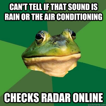 Can't tell if that sound is rain or the air conditioning Checks radar online  Foul Bachelor Frog