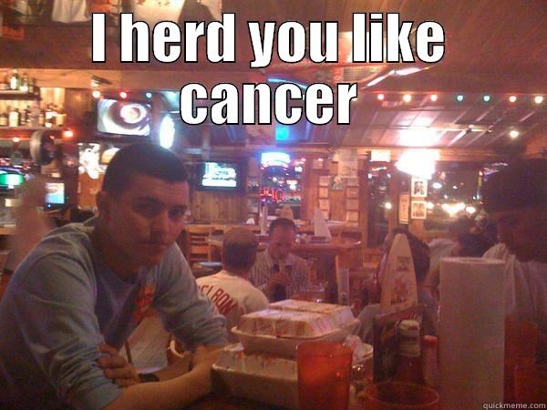 I HERD YOU LIKE CANCER  Misc