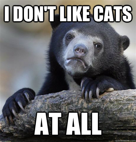 I don't like cats at all  Confession Bear