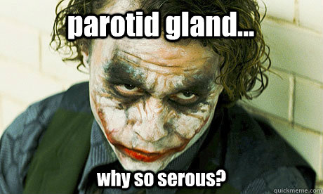 parotid gland... why so serous?  Untrustworthy joker