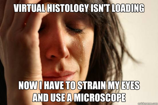 Virtual Histology isn't loading Now I have to strain my eyes 
and use a microscope  First World Problems