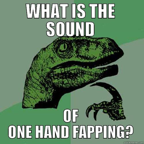 WHAT IS THE SOUND OF ONE HAND FAPPING? Philosoraptor
