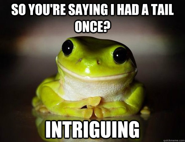 So you're saying i had a tail once? Intriguing  Fascinated Frog