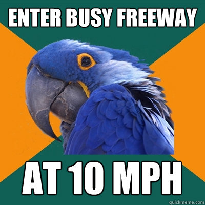 enter busy freeway at 10 mph  Paranoid Parrot